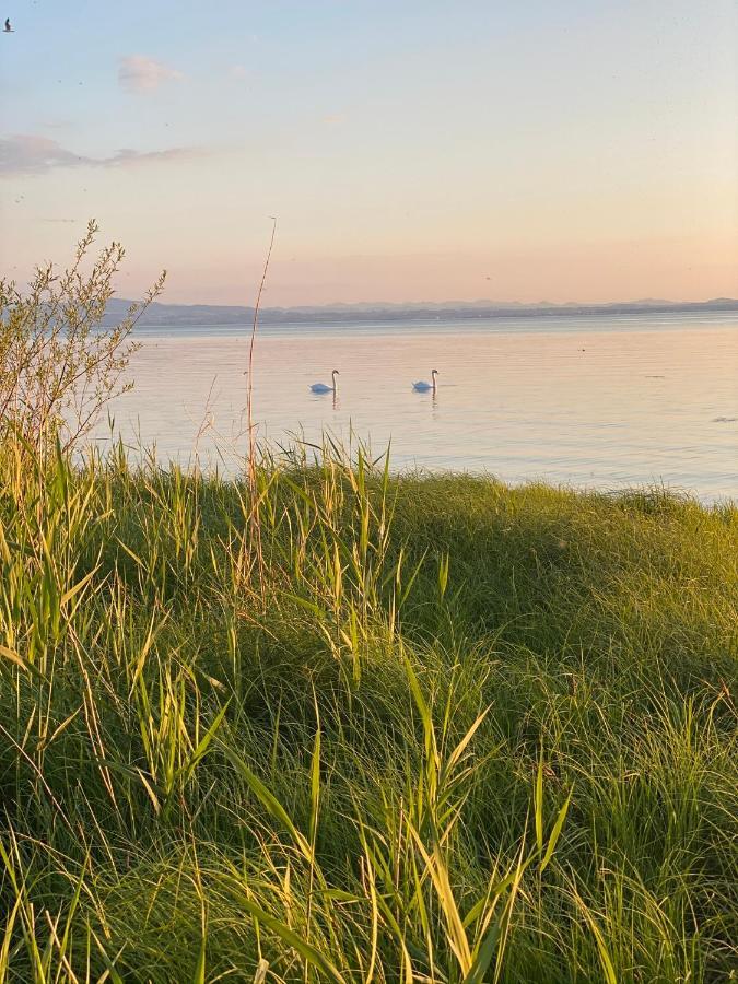 Ferien-Apartment Eisvogel Im Naturschutzgebiet Mit Privatstrand FDH Kültér fotó