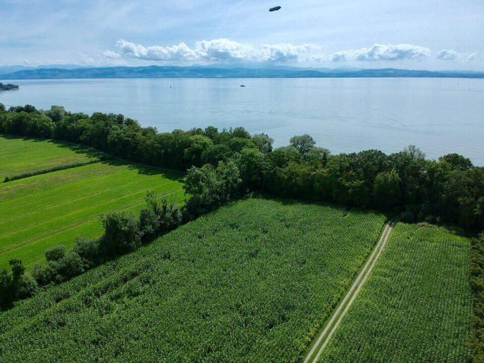 Ferien-Apartment Eisvogel Im Naturschutzgebiet Mit Privatstrand FDH Kültér fotó